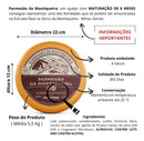 Queijo Parmesão Artesanal Gourmet 5 Kg - Maturação 6 Meses